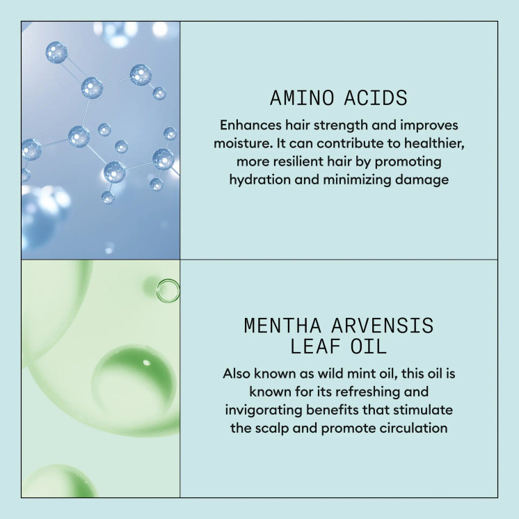 Nioxin SCALP RECOVERY SYSTEM PURIFYING CONDITIONER 200ML