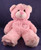 Pink Lavender Stuffed Bear