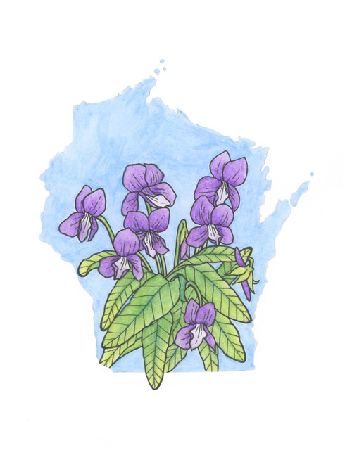 Wisconsin Violets Button Pin