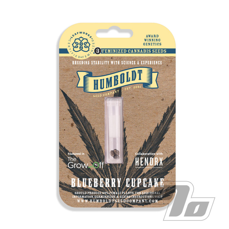 Humboldt Seed Company Blueberry Cupcake 3 pack Feminized Cannabis Seeds