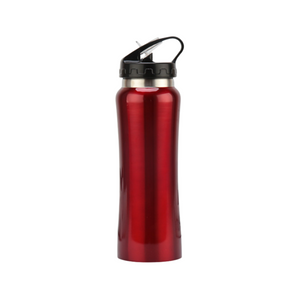HOM4970SW  Stainless Steel Bottle			 				