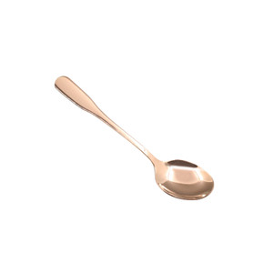 BWS1330 Rounded Dining Spoon with Titanize Body, Flatware