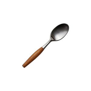 BWS1343 Mirror-Polished Dessert Spoon with Wooden Handle