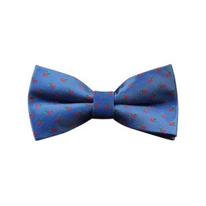 APE1515 Men's Floral Bow Tie