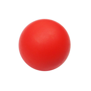 SUE1202 Massage CrossFit Ball