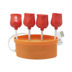 ELB11204 Ports Rose USB Hub