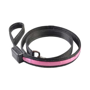 HAP1383 LED Glow Safety Dog Leash