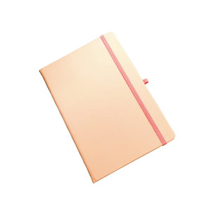 FPN1319 A5 Casebound Notebook with Pen Loop
