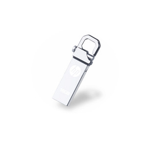 ELS1135 Keychain USB Flash Drive 2GB