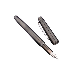 FPP1517 Transparent Plastic Pen