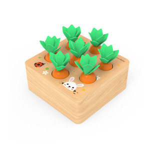 HOM3054 Carrot Shaped Wooden Toy