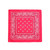 CLO3048 Custom Bandana, 21.65"