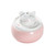 HOM3680 Cat Drinking Fountain