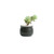 HOM3445 Mini Ceramic Flower Pot