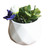 HOM3443 Mini Ceramic Flower Pot