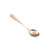 BWS1330 Rounded Dining Spoon with Titanize Body, Flatware