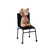 OPC1151 Chair Memo Clip with Removable Magnet Animal Decor