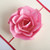 BWN1200 Pop-up Rose Paper Cut Greeting Card