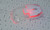 ELO1319 Magic Wireless Transparency Mouse