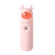 MOR2067 Lovely Silicone Nano Spray Hydration Instrument