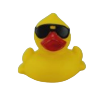 Toy Duck