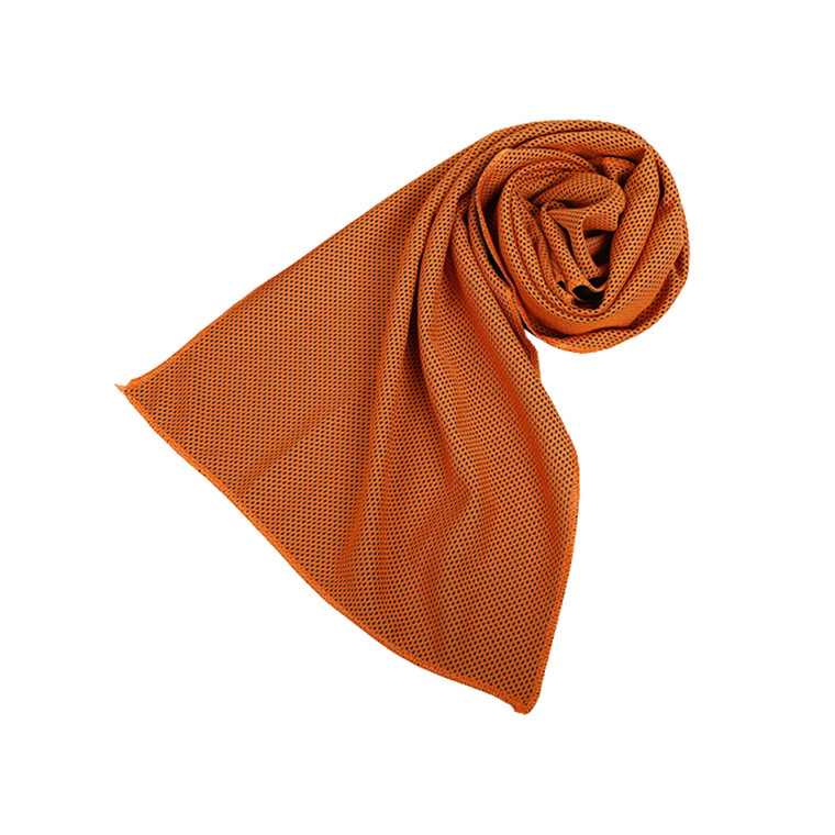 SPO4180 Quick-Dry Cooling Gym Towel