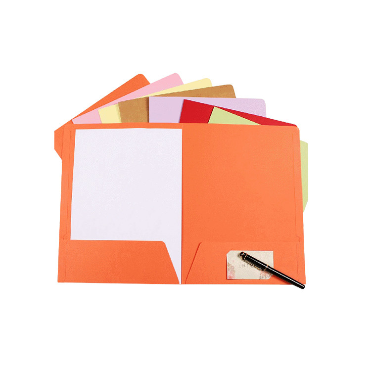 FPD1118 A4 Twin Pockets File Folder with  Card Slot