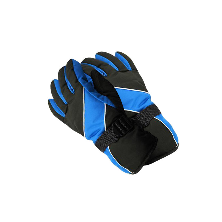 APG1130 Men's High Performance Skiing Glove