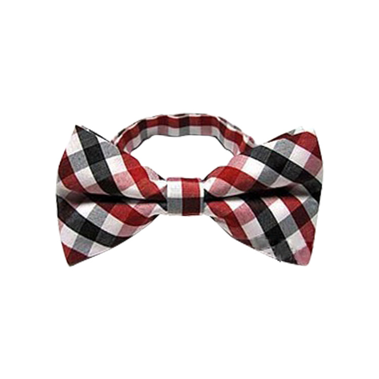 APE1509 Men's Stripe Floral Bow Tie