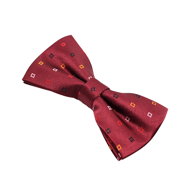 APE1512 Men's Bow Tie with Strip