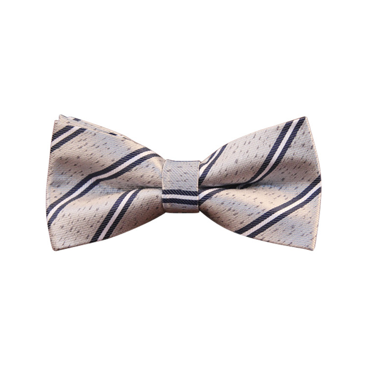 APE1516 Men's Classic Pre-tied Bowtie