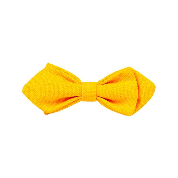 APE1535 Men's Skinny Canvas Bowtie