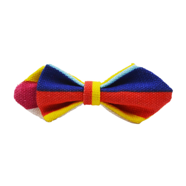 APE1537 Men's Rainbow Sharp Bowtie