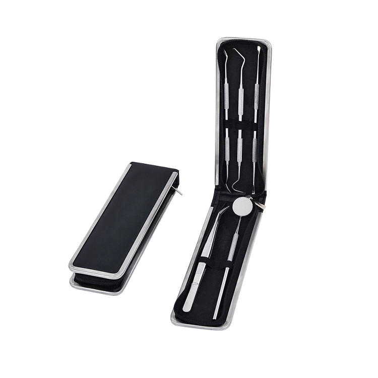 HPC1287 Stainless Dental Hygiene Kit