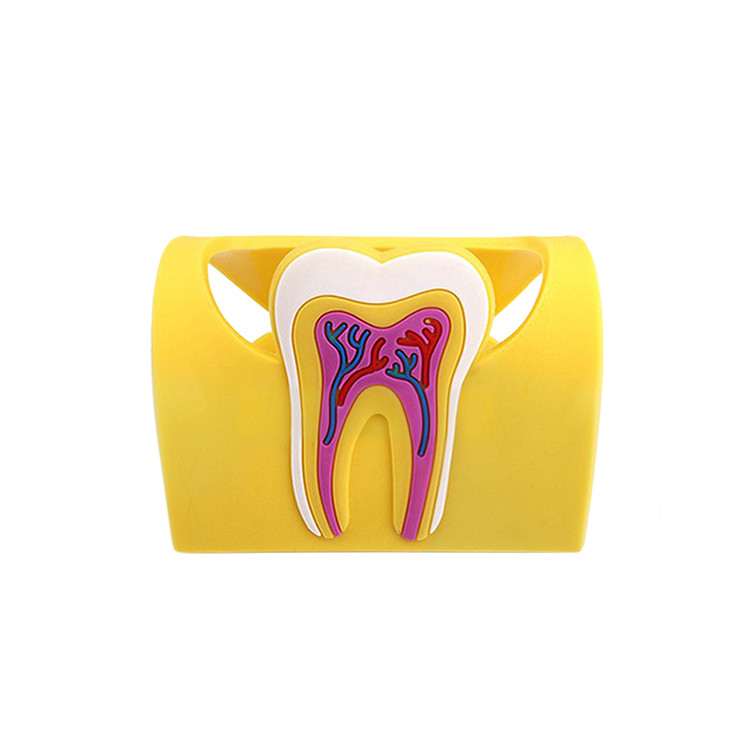 FPE1357 Dental Tooth Designed Phone Card Holder