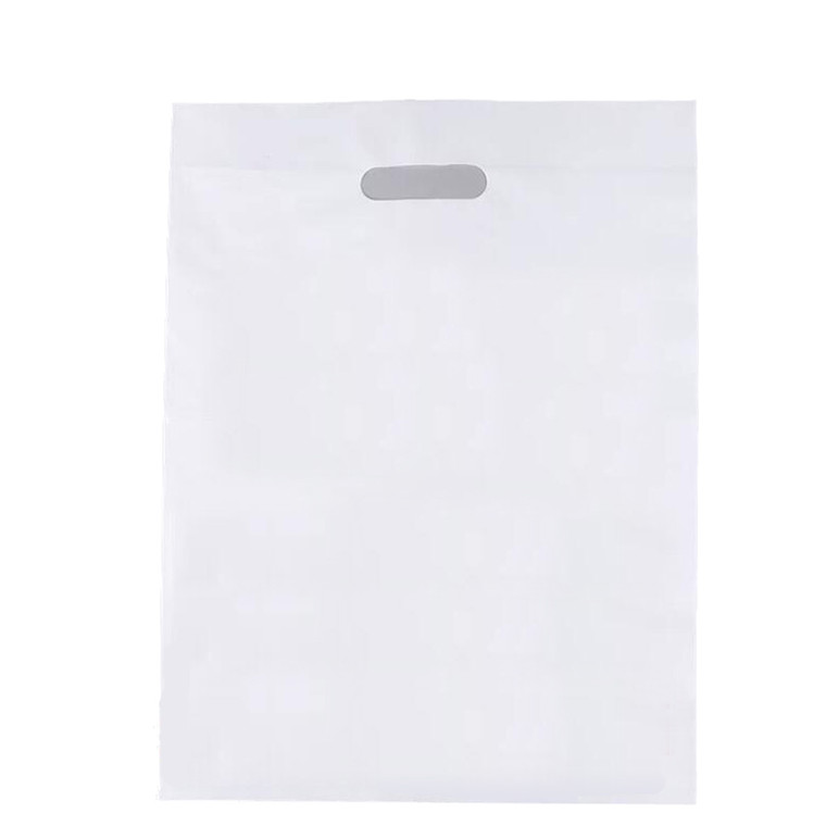 HOM2011 Practical PE Carry Bag