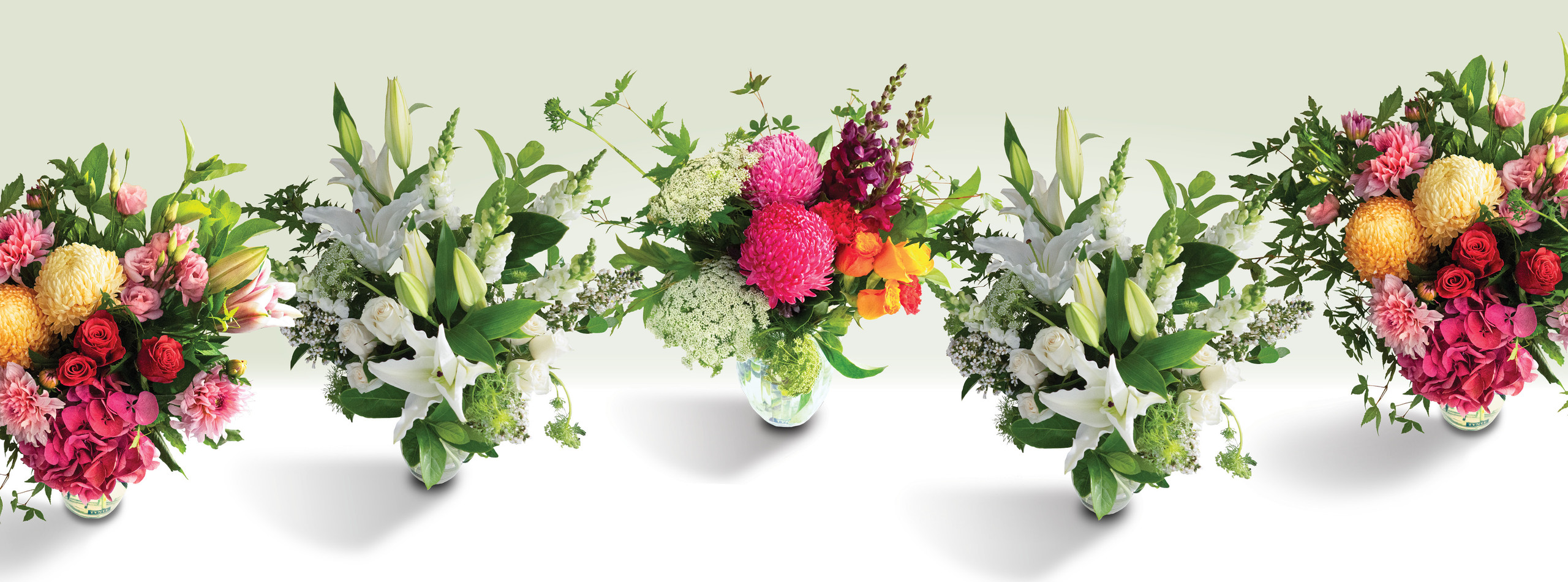 Tynte Flowers, Adelaide Flower Delivery