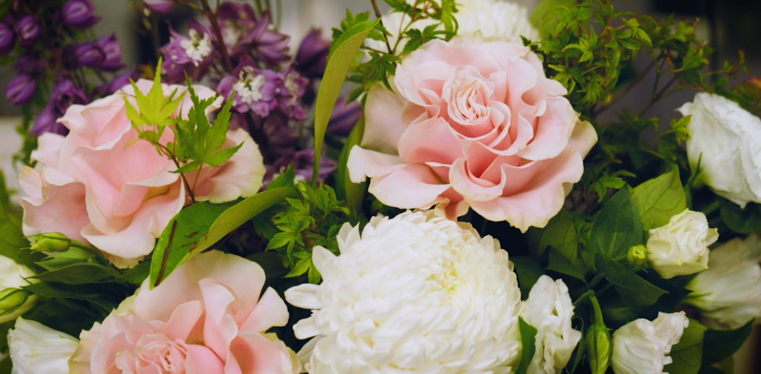 Tynte Flowers Flower Delivery Adelaide (Fast & 100 Reliable)