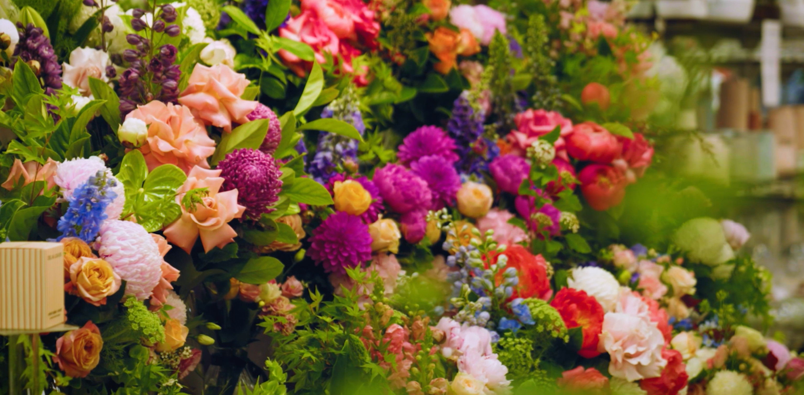 Tynte Flowers Flower Delivery Adelaide (Fast & 100 Reliable)