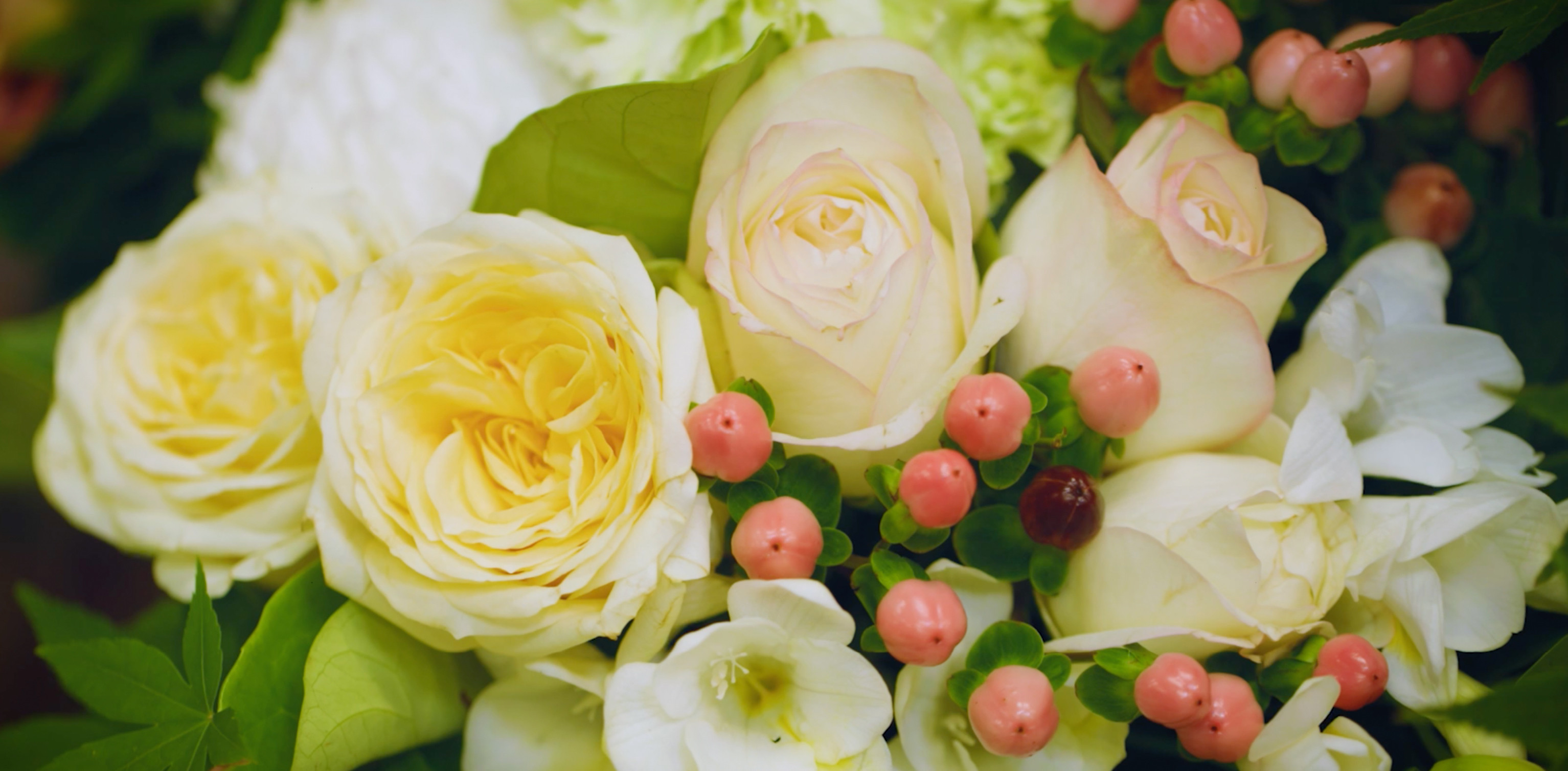 Tynte Flowers Flower Delivery Adelaide (Fast & 100 Reliable)