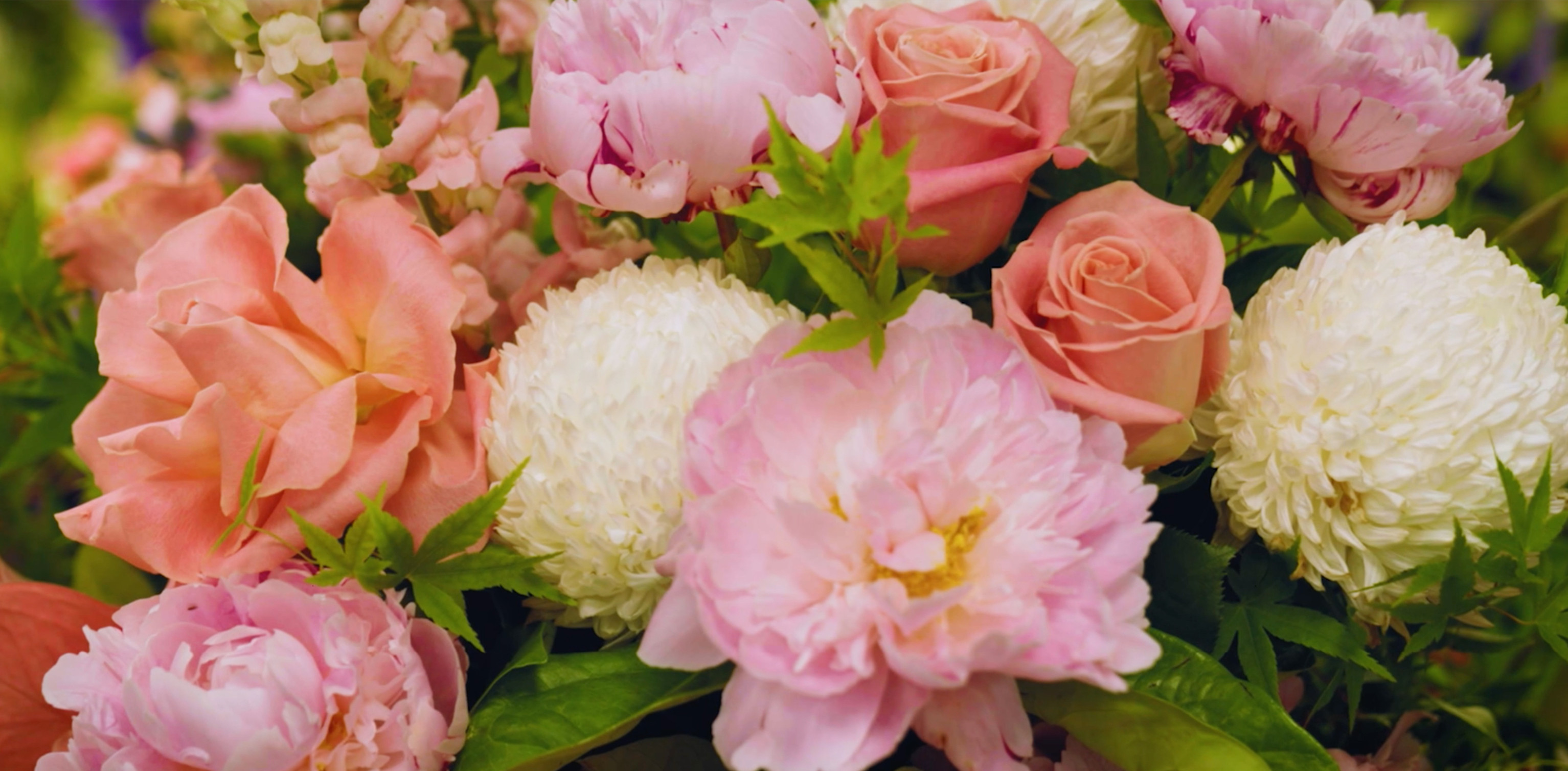 Tynte Flowers Flower Delivery Adelaide (Fast & 100 Reliable)