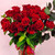 Vase Of Red Roses - 2 doz, 60cm Premium
