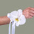Wrist Corsage Phalaenopsis Orchid