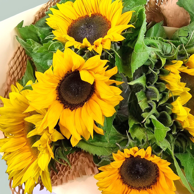 Sunflower Bouquet - 5 stem