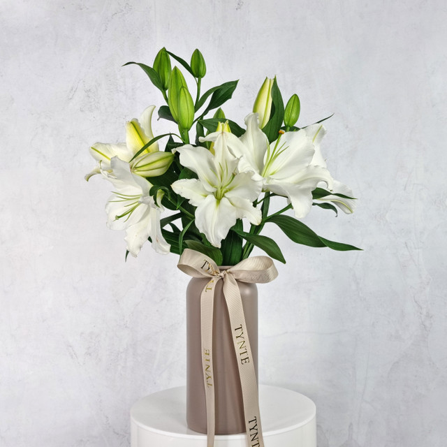 White Classic Charm Oriental Lilies