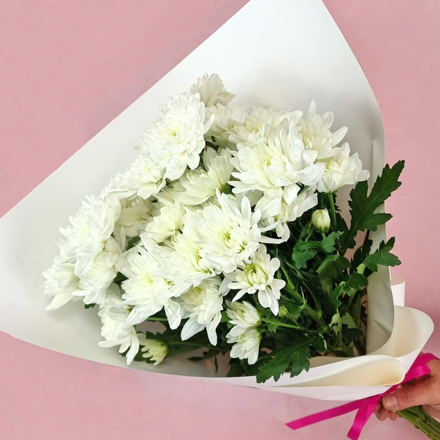 White Daisy Bouquet White Daisy Bouquet