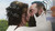 Live Wedding Painter