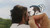 Live Wedding Painting