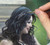 San Diego Live Wedding Painter Painting Bride's Hair Ornament.