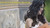 San Diego Wedding Painter Jess Perna.